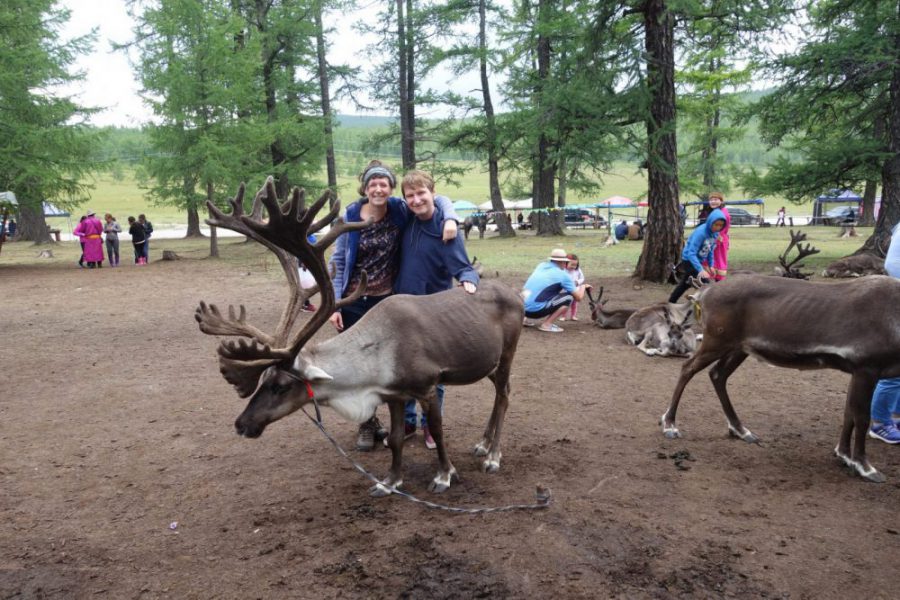 Reindeer in Khuvsgul