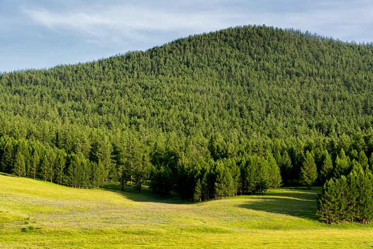 Explore Best Mongolia Tours