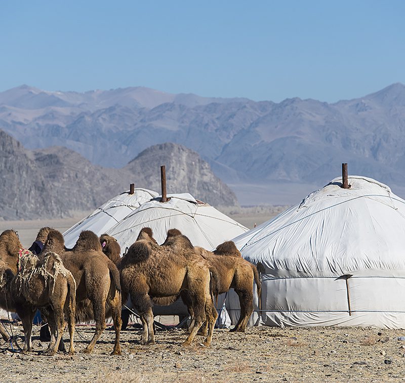 Explore Western Mongolia and Gobi
