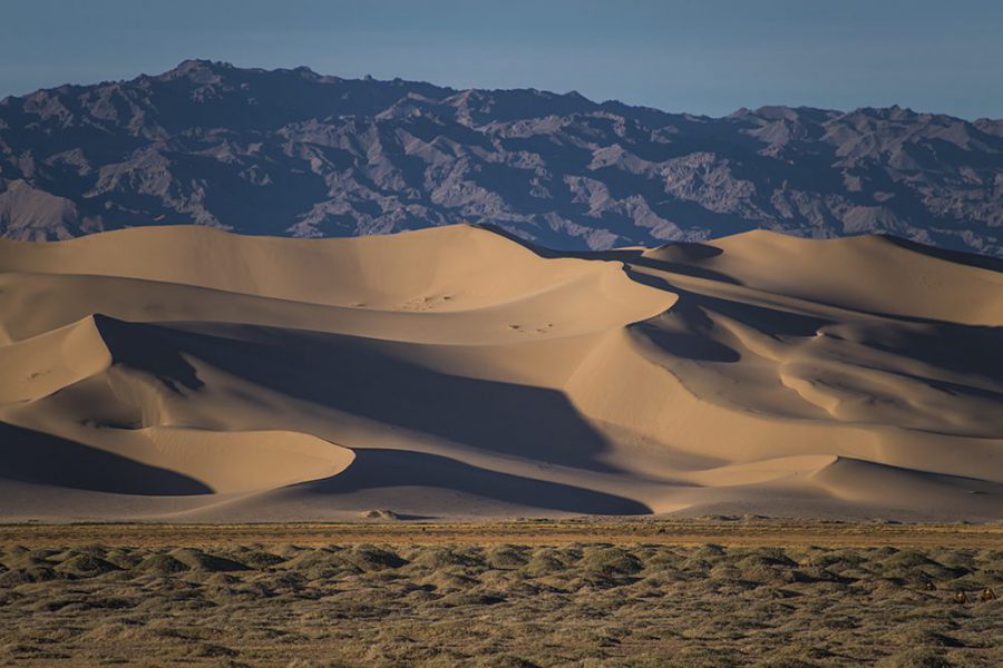 Gobi desert Tour