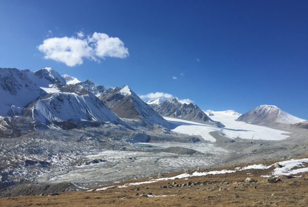 Altai tavan bogd
