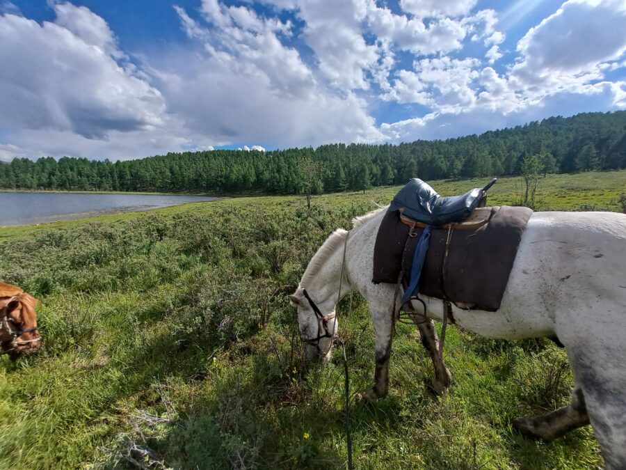 Horseback Tour Mongolia