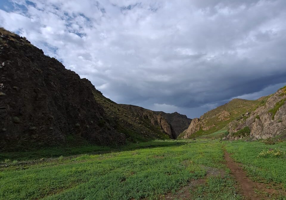 Gobi desert Tour