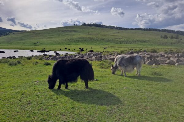 IMG-20230810-WA0081 IMG-20230810-WA0081