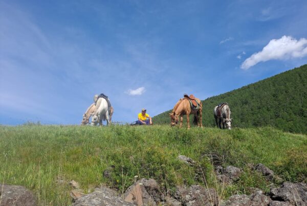 Gobi and horseback adventure