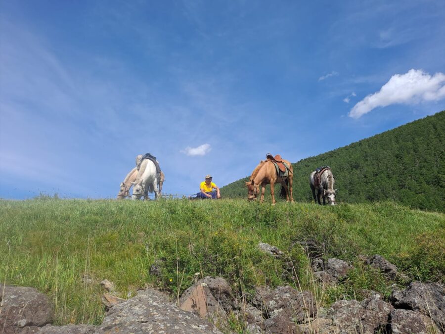 Gobi and horseback adventure
