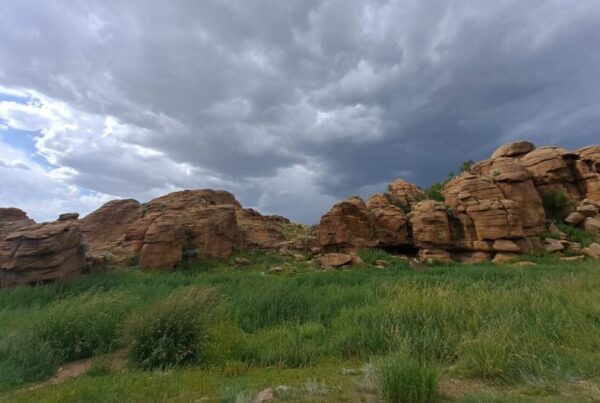 Gobi adventure Tour