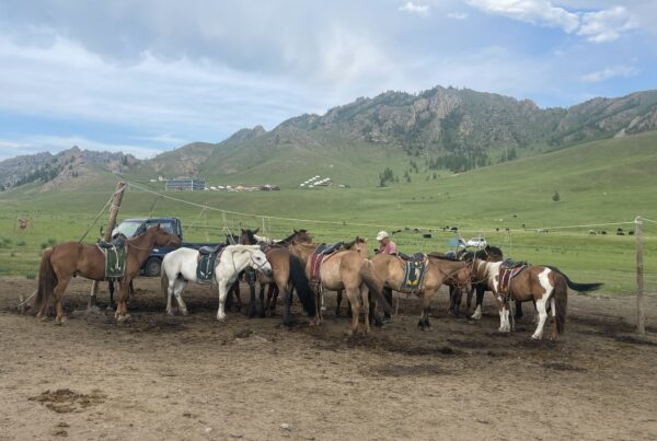 Naadam festival