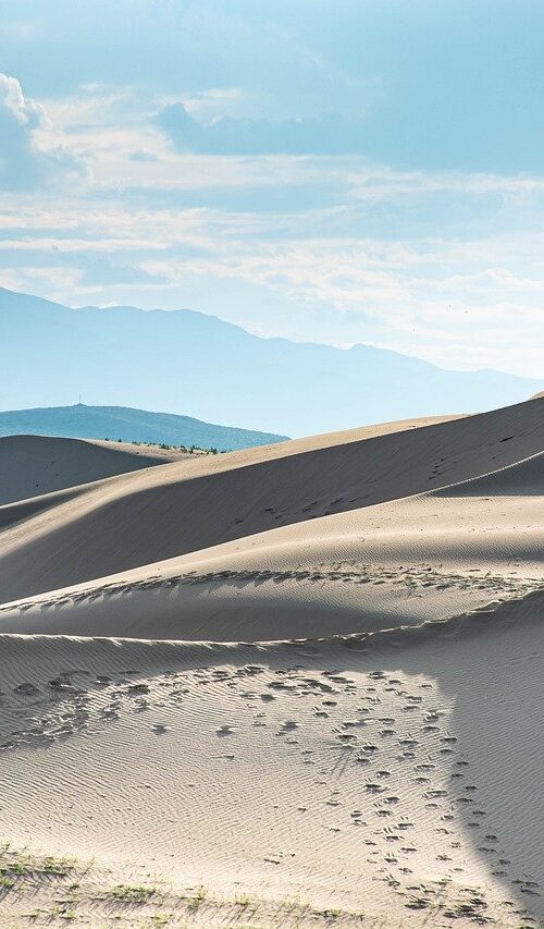 Gobi winter tour