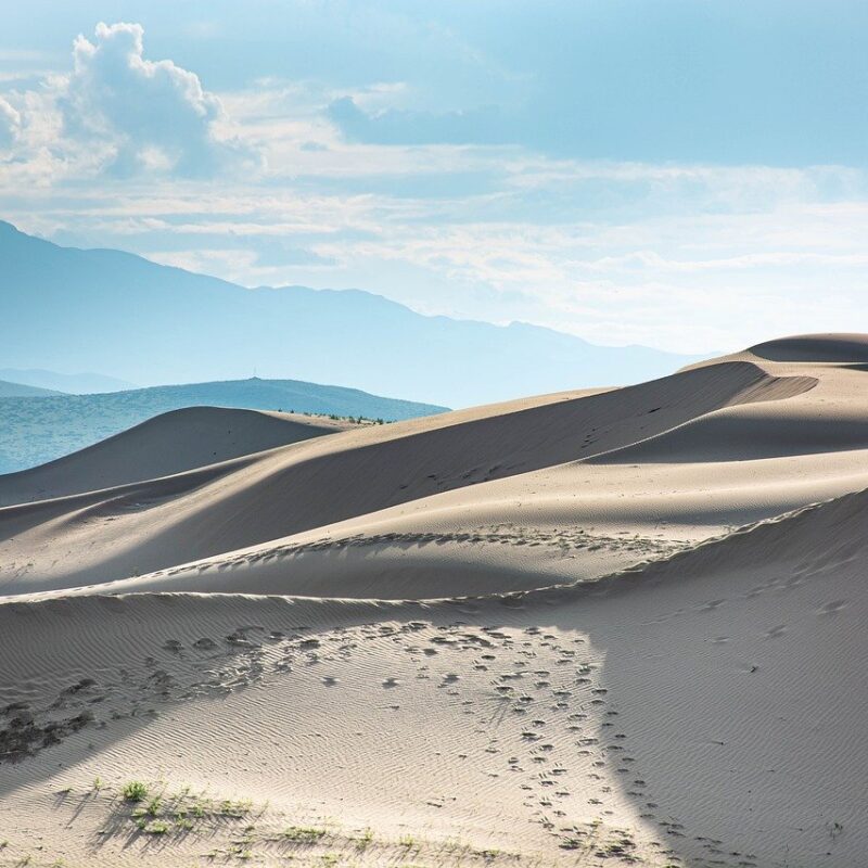 Gobi winter tour