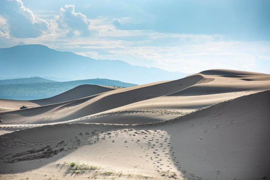 Gobi winter tour