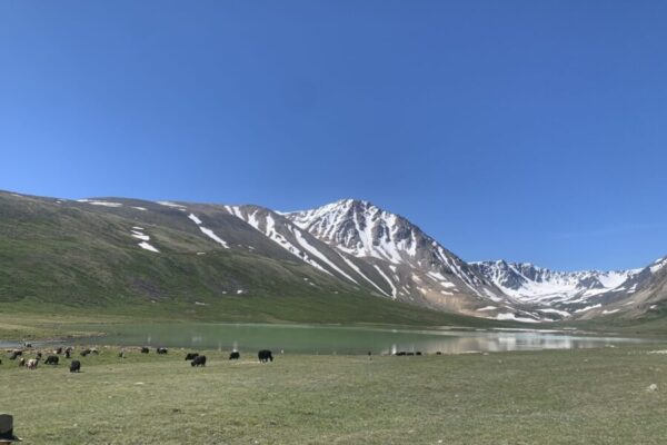 Western Mongolia