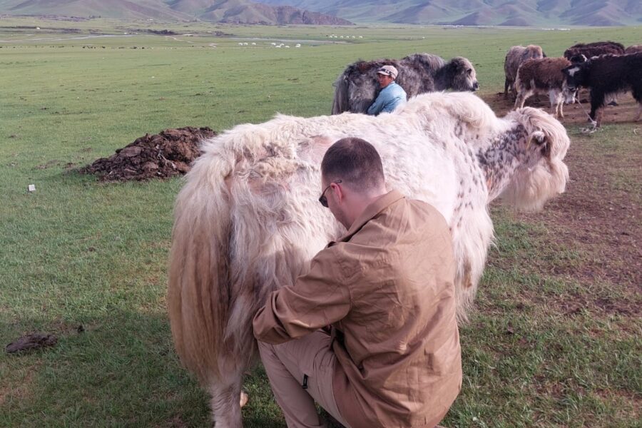 Nomadic tour Mongolia