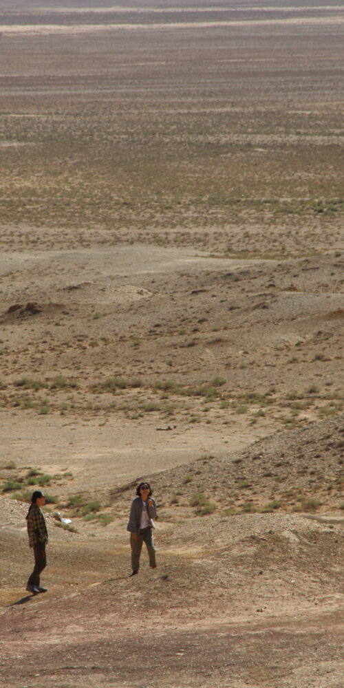 Budget Gobi Tour