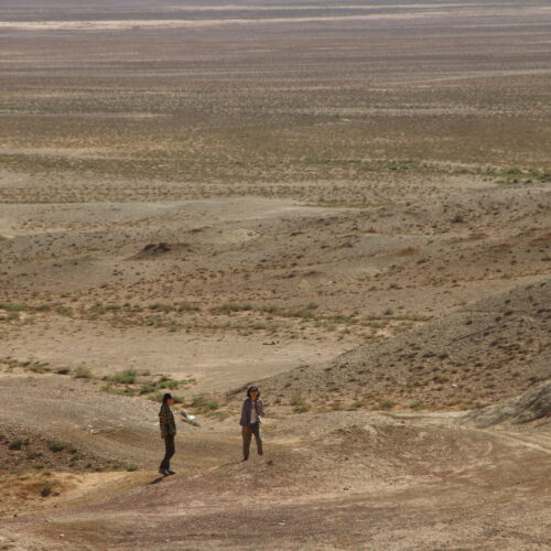 Budget Gobi Tour
