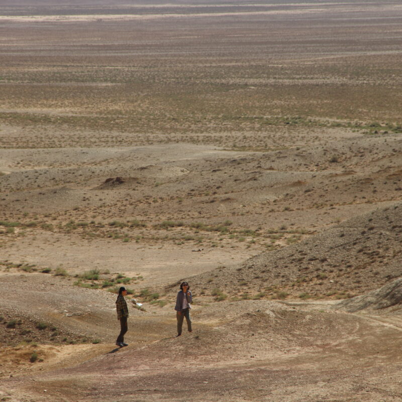 Budget Gobi Tour